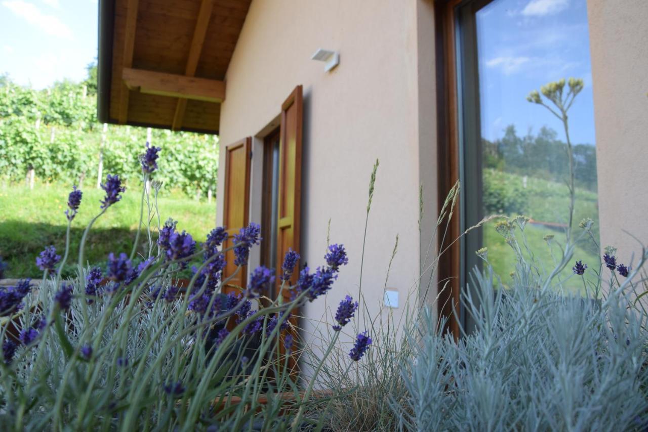 Al-Colle Bed & Breakfast Sotto il Monte Exterior photo